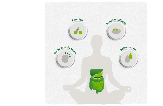 Infographic showing how exercising, eating balanced meals, drinking water and avoiding stress impact digestive health